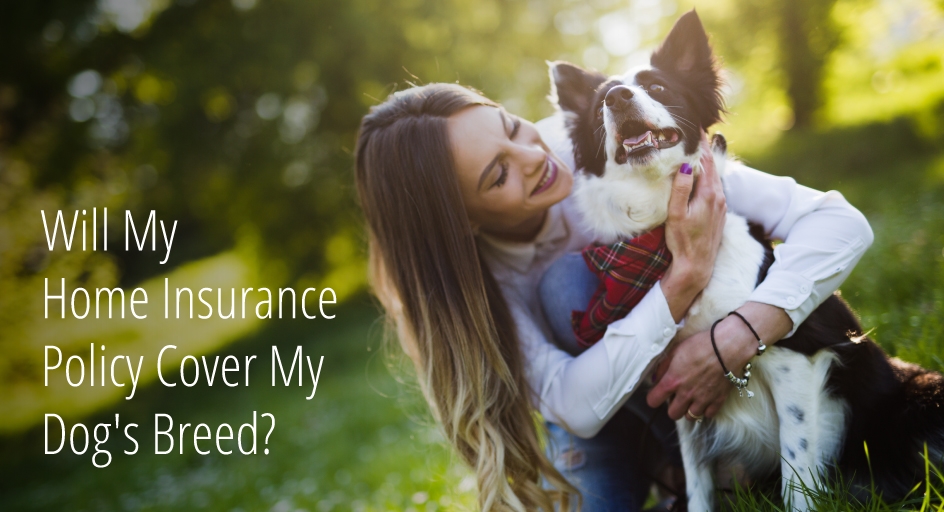 Will My Home Insurance Policy Cover My Dog’s Breed?